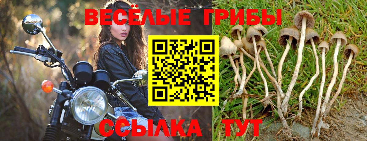 Добрянка  Галлюциногенные грибы Psilocybe  наркошоп  Вход с VPN  Псилоцибиновые грибы прущие грибы 